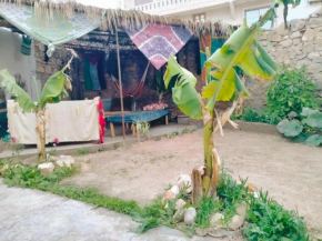 Ocean jam surf house